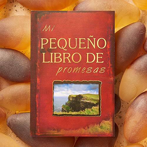 Stock image for Mi pequeno libro de promesas for sale by SecondSale