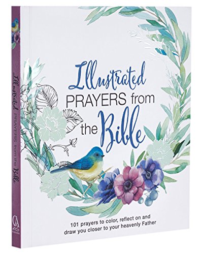 Stock image for Illustrated Prayers from the Bible: A Creative Prayer Book for sale by SecondSale