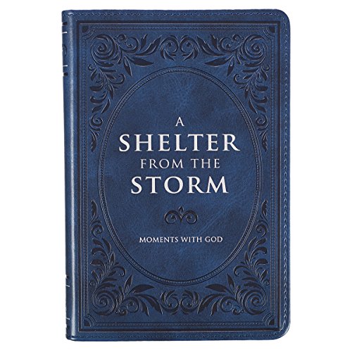 Stock image for Shelter from the Storm Devo Lu for sale by Better World Books