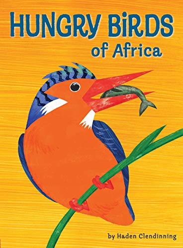 Beispielbild fr Hungry Birds of Africa zum Verkauf von Books From California