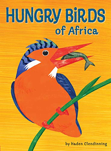 Stock image for Hungry Birds of Africa for sale by Books From California