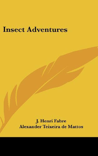9781432611217: Insect Adventures