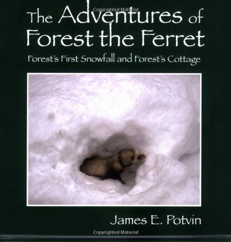 9781432705565: The Adventures of Forest the Ferret