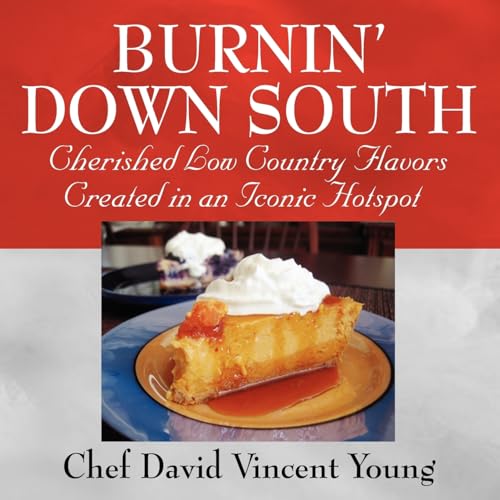 BURNIN' DOWN SOUTH [Paperback] Vincent, Chef David - Vincent, Chef David