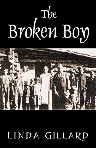 Stock image for The Broken Boy for sale by Lucky's Textbooks