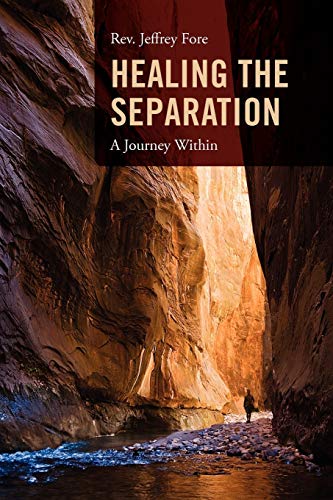 Stock image for Healing the Separation: A Journey Within for sale by Lucky's Textbooks