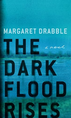 Beispielbild fr The Dark Flood Rises zum Verkauf von Better World Books