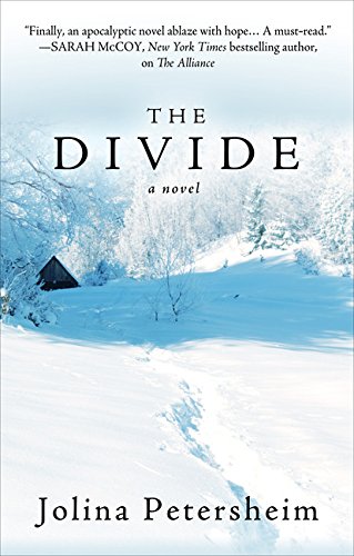Beispielbild fr The Divide zum Verkauf von Better World Books