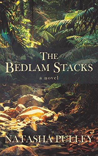 Beispielbild fr The Bedlam Stacks zum Verkauf von Better World Books