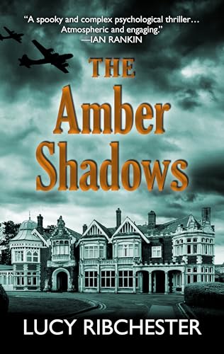 Beispielbild fr The Amber Shadows zum Verkauf von Better World Books
