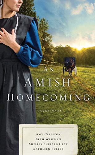 9781432860240: An Amish Homecoming (Thorndike Press Large Print Christian Fiction)