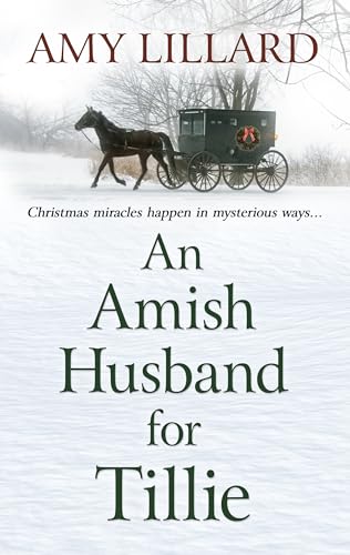Beispielbild fr An Amish Husband for Tillie zum Verkauf von Buchpark
