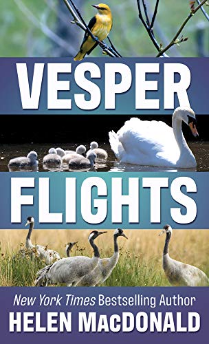 9781432884864: Vesper Flights: New and Collected Essays