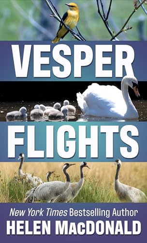 Stock image for Vesper Flights for sale by Bulk Book Warehouse