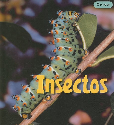 Insectos/ Insects (Crias/ Animal Babies) (Spanish Edition) (9781432905668) by Theodorou, Rod