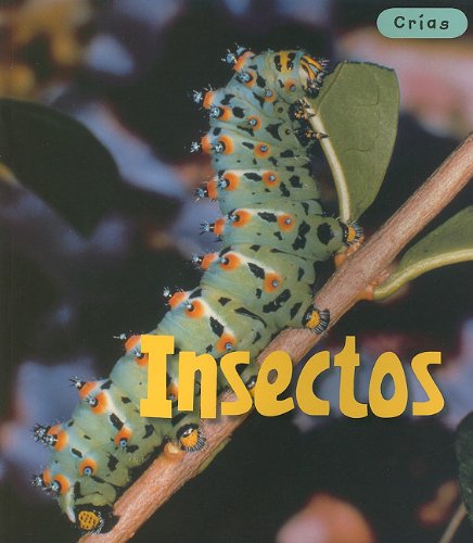 9781432905736: Insectos/ Insects