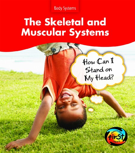 Stock image for The Skeletal and Muscular Systems : How Can I Stand on My Head? for sale by Better World Books: West