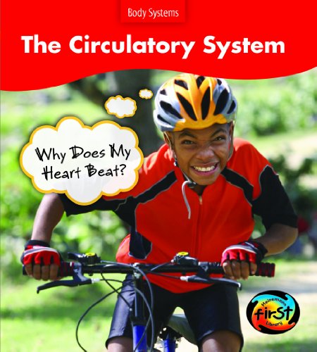 Imagen de archivo de The Circulatory System : Why Does My Heart Beat? a la venta por Better World Books: West