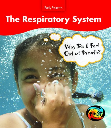 Stock image for The Respiratory System: Why Am I Out of Breath? (Body Systems) for sale by HPB-Emerald