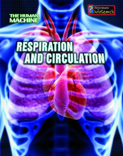 9781432909079: Respiration and Circulation (The Human Machine)