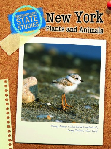 Stock image for New York Plants and Animals (State Studies: New York) for sale by HPB-Emerald