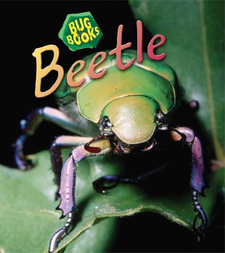 9781432912321: Beetle (Bug Books)