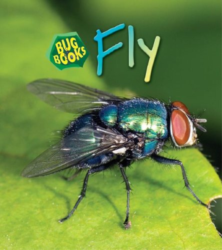 Imagen de archivo de Fly a la venta por Better World Books