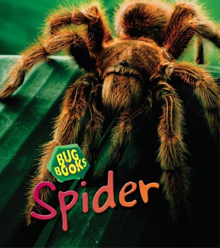 Stock image for Spider (Bug Books) for sale by Irish Booksellers