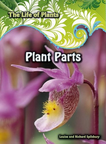 Plant Parts (The Life of Plants) (9781432915063) by Spilsbury, Richard; Spilsbury, Louise