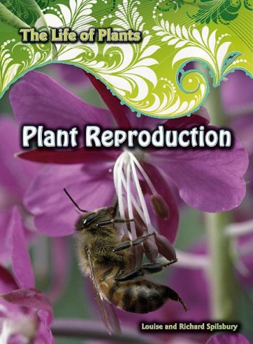 Beispielbild fr Plant Reproduction zum Verkauf von Better World Books