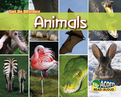 9781432922733: Animals (Acorn Read Aloud: Sport the Difference)