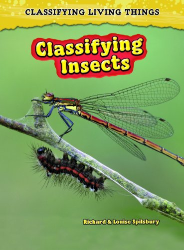 Classifying Insects (Classifying Living Things) (9781432923556) by Solway, Andrew