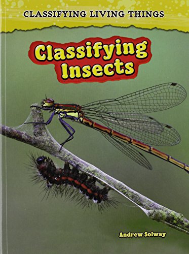 9781432923655: Classifying Insects