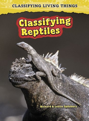 Beispielbild fr Classifying Reptiles zum Verkauf von Better World Books