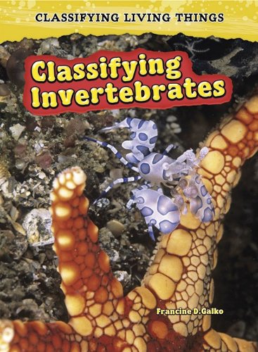 Stock image for Classifying Invertebrates for sale by Better World Books