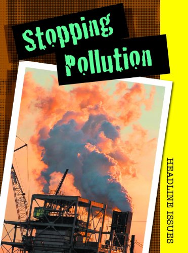 Stopping Pollution (Headline Issues) (9781432924096) by Chalmers, Catherine