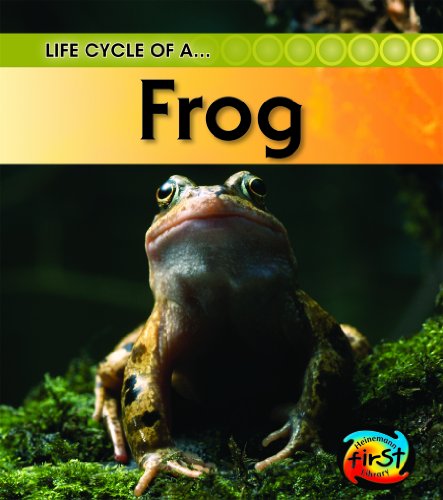 Beispielbild fr Frog zum Verkauf von Better World Books