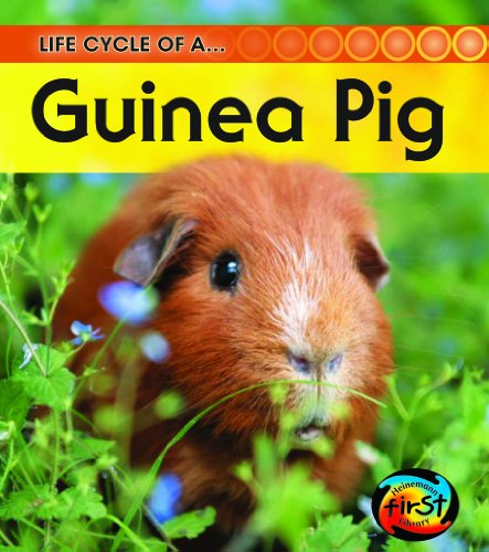 Guinea Pig (Life Cycle of a . . .) - Royston, Angela