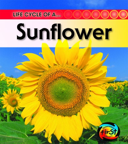 Stock image for Life Cycle of a Sunflower (Heinemann First Library: Life Cycle of a) for sale by -OnTimeBooks-