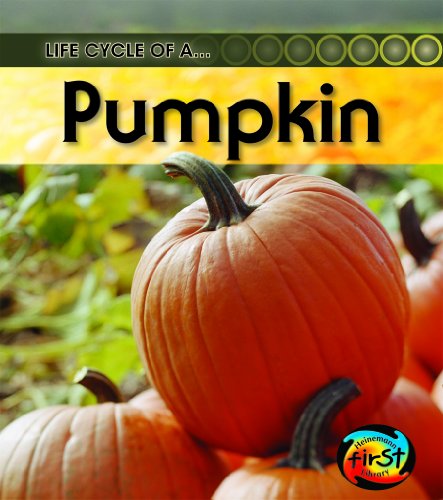 Stock image for Pumpkin for sale by ThriftBooks-Dallas
