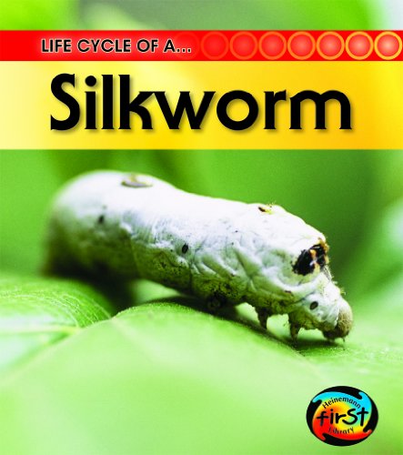 Stock image for Silkworm for sale by ThriftBooks-Dallas