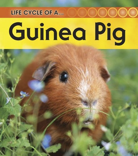 9781432925376: Life Cycle of a Guinea Pig