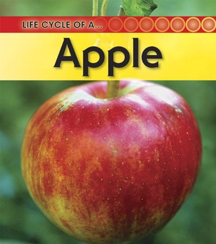 9781432925383: Life Cycle of an... Apple