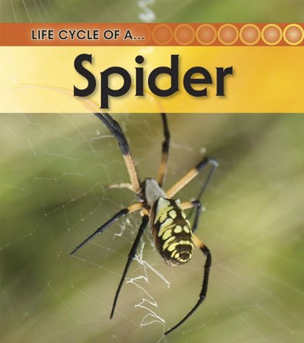 Life Cycle of a - Spider (9781432925468) by Fridell, Ron; Walsh, Patricia