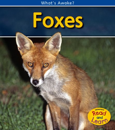 Foxes (What's Awake?) (9781432925970) by Spilsbury, Louise