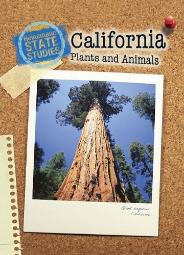 Stock image for California Plants and Animals (State Studies: California) for sale by Discover Books
