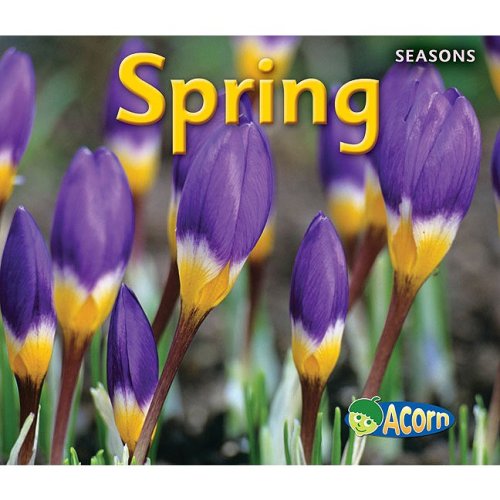 9781432927332: Spring (Seasons)