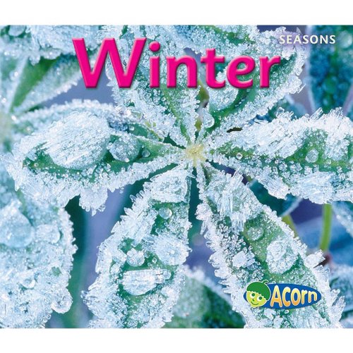 Stock image for Winter (Seasons) for sale by Orion Tech