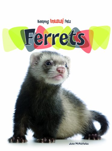 9781432938482: Ferrets