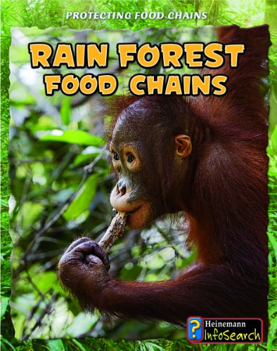 Beispielbild fr Rain Forest Food Chains zum Verkauf von Better World Books